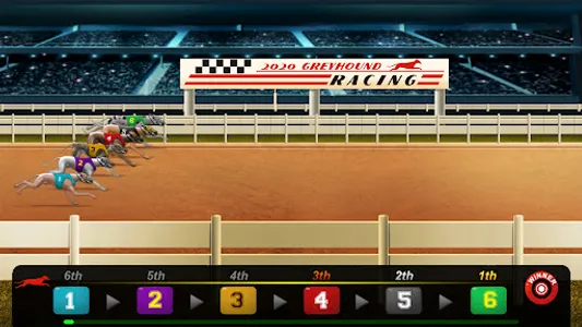 Dog Racing Betting Online screenshot 14