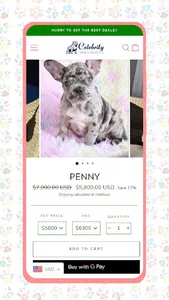 CELEBRITY FRENCHIES USA screenshot 3