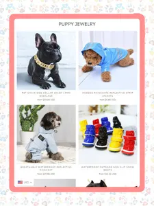 CELEBRITY FRENCHIES USA screenshot 6