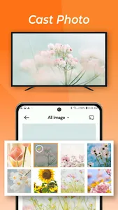 Cast to TV: Screen Mirroring screenshot 3