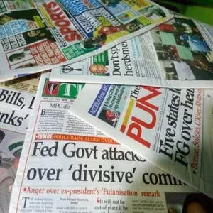 Nigeria National Newspapers screenshot 0