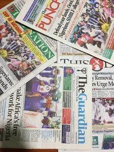 Nigeria National Newspapers screenshot 2