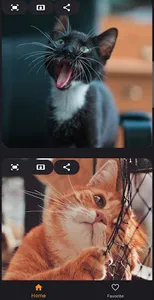 Wallpapers Cute Animals 4k screenshot 3