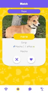 PetMatch screenshot 2