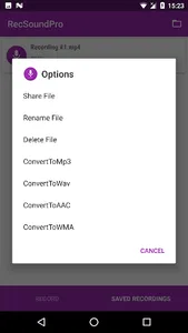 RecSoundPro screenshot 4