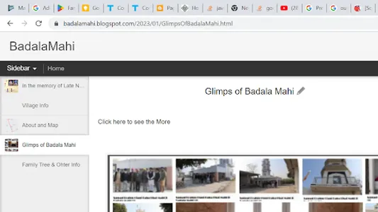 BadalaMahiInfo screenshot 13