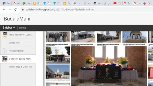BadalaMahiInfo screenshot 4