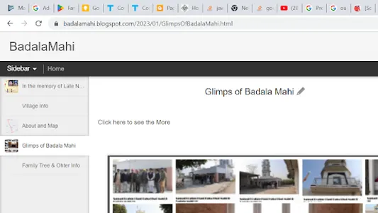 BadalaMahiInfo screenshot 5