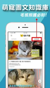 獅子貓寵物營養知識家 screenshot 3