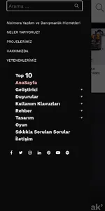 Niximera Blog screenshot 2