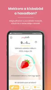 PregHello – terhességi app screenshot 2