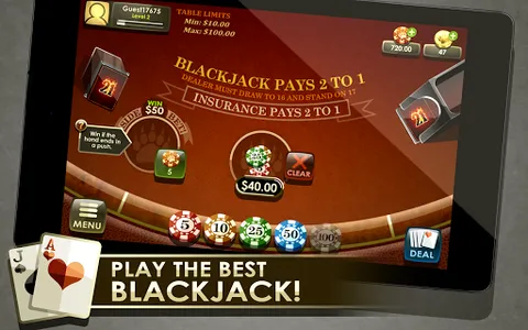 Blackjack Royale screenshot 12