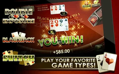 Blackjack Royale screenshot 14