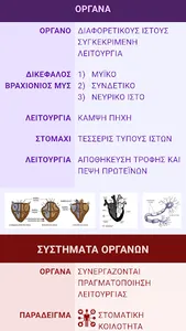 NOTEBARS screenshot 3