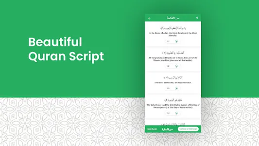 Quran Pro: Quran Assistant screenshot 19