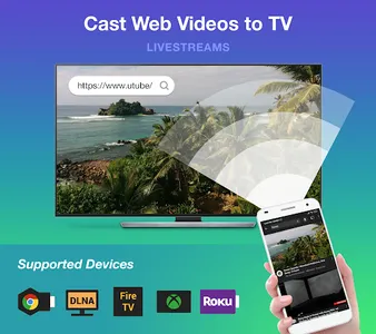 Roku Cast - Cast Phone to TV screenshot 0