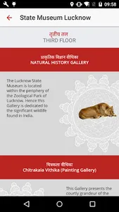 DPG - State Museum Lucknow screenshot 7