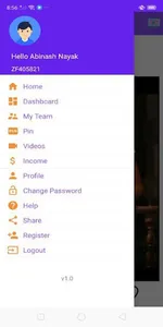 Zinger Fun screenshot 3