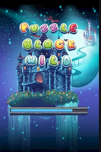 Puzzle block screenshot 0