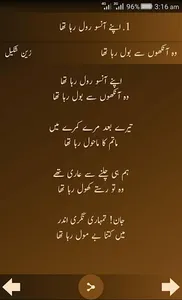 Zain Shakeel Poetry screenshot 11