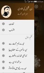 Zain Shakeel Poetry screenshot 13