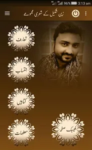 Zain Shakeel Poetry screenshot 14