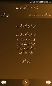 Zain Shakeel Poetry screenshot 16