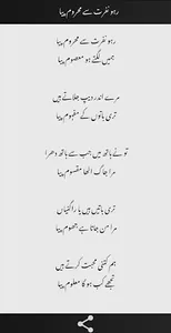 Zain Shakeel Poetry screenshot 2