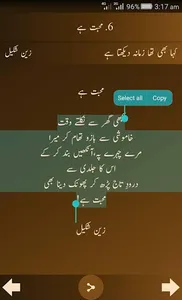 Zain Shakeel Poetry screenshot 8