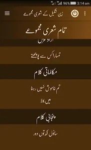 Zain Shakeel Poetry screenshot 9