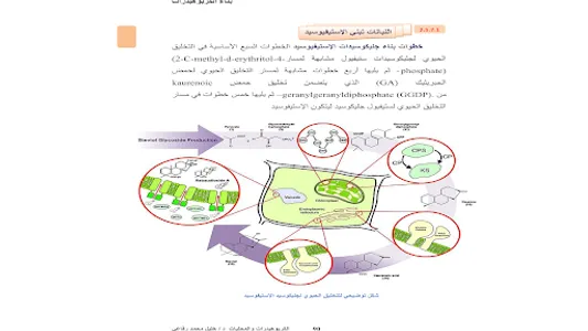 Carbohydrates and sweetener screenshot 16