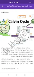 Carbohydrates and sweetener screenshot 8