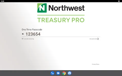 Northwest Treasury Pro Token screenshot 5