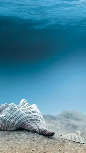 Ocean and Water Wallpapers screenshot 0