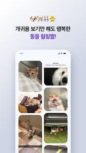 동물힐링짤, 인생명언짤, MBTI 등 즐거운 짤방앱 screenshot 1