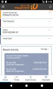 WegagenBank screenshot 1