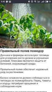 САД Огород Дача Хороший урожай screenshot 3