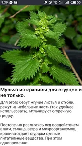 САД Огород Дача Хороший урожай screenshot 5