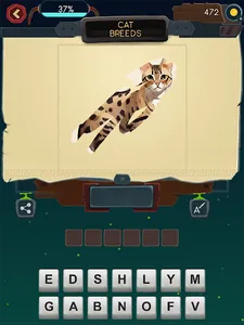 Picture Quiz screenshot 15