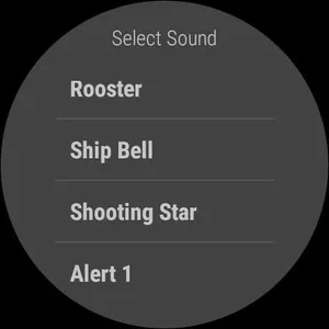 Beep Hourly Pro - For Wear OS  screenshot 2
