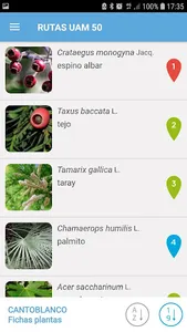 Rutas UAM 50 screenshot 3