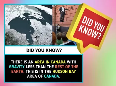OMG Facts : You Must Know, Ama screenshot 4