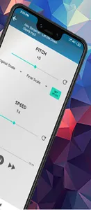 Audier - Custom Pitch and Spee screenshot 2