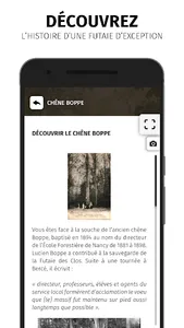 Futaie des Clos screenshot 1