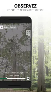 Futaie des Clos screenshot 5