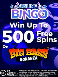 Online Bingo - Bingo & Slots screenshot 8