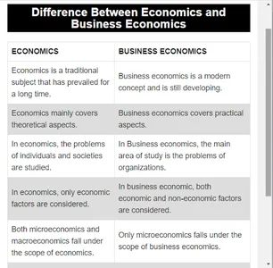 Business Economics screenshot 13