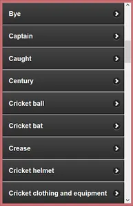 Cricket Language &Terminology screenshot 1