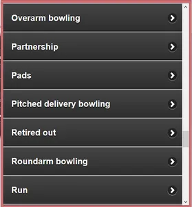 Cricket Language &Terminology screenshot 11