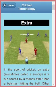 Cricket Language &Terminology screenshot 6